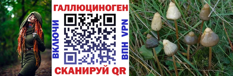 Галлюциногенные грибы Cubensis  Артёмовск 